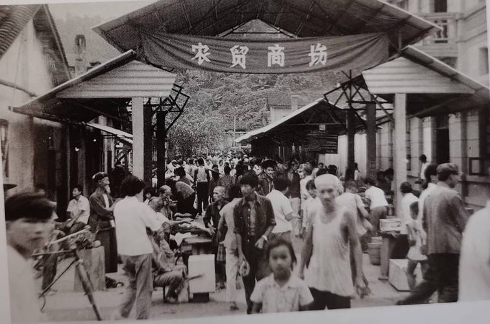 药齐齐医药